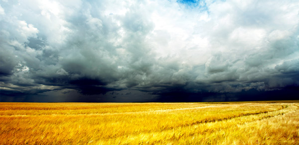 Carta abierta a los padres españoles.